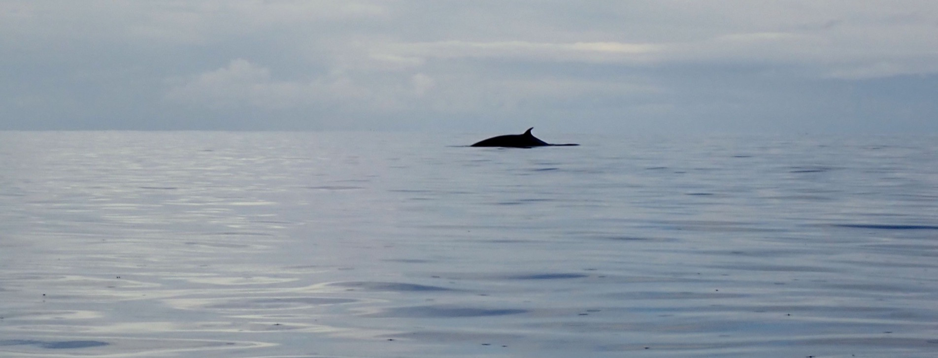 Image 3 from Harris Sea Kayaking - Camping