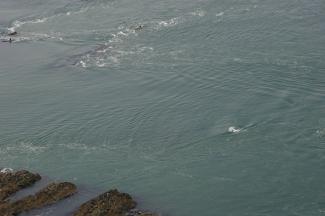 North Wales Sea Kayaking Courses - Specialist Sea Kayaking Anglesey, North Wales image from Anglesey Sea Kayaking
