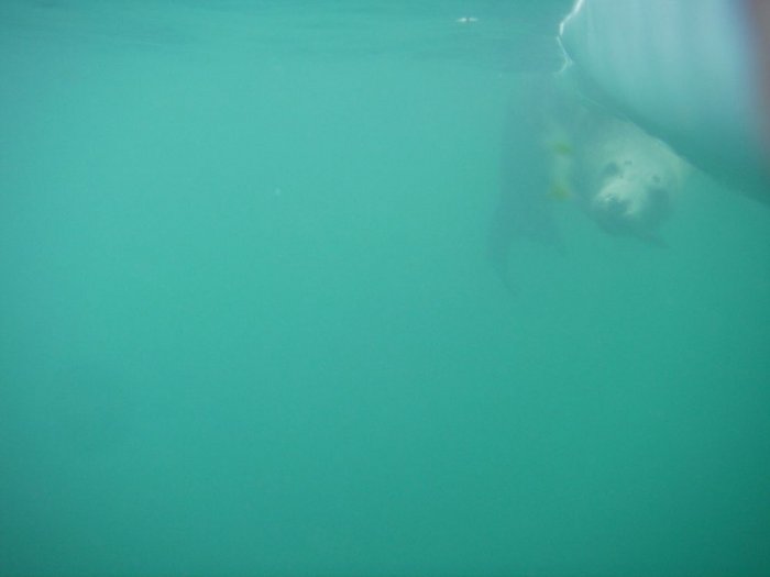 Image 7 from Sea Kayak Courses North Wales