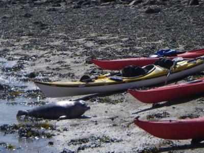 North Wales Sea Kayaking Courses - Specialist Sea Kayaking Anglesey, North Wales image from Foundation Intermediate Sea Kayaking Wales