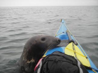 North Wales Sea Kayaking Courses - Specialist Sea Kayaking Anglesey, North Wales image from Foundation Intermediate Sea Kayaking Wales