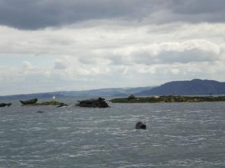 North Wales Sea Kayaking Courses - Specialist Sea Kayaking Anglesey, North Wales image from Foundation Intermediate Sea Kayaking Wales