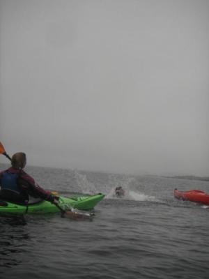 North Wales Sea Kayaking Courses - Specialist Sea Kayaking Anglesey, North Wales image from Scotland Sea Kayak Expeditions