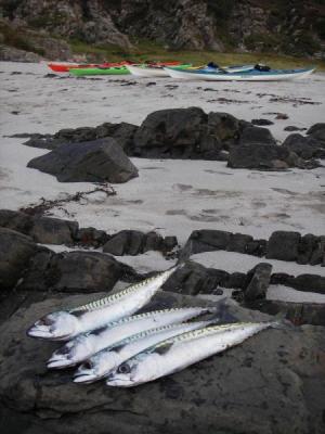 North Wales Sea Kayaking Courses - Specialist Sea Kayaking Anglesey, North Wales image from Scotland Sea Kayak Expeditions