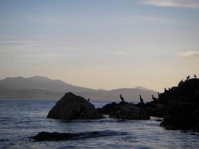 North Wales Sea Kayaking Courses - Specialist Sea Kayaking Anglesey, North Wales image from Sea Kayaking Anglesey