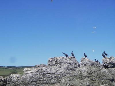 North Wales Sea Kayaking Courses - Specialist Sea Kayaking Anglesey, North Wales image from Sea Kayaking Anglesey