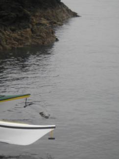 North Wales Sea Kayaking Courses - Specialist Sea Kayaking Anglesey, North Wales image from Sea Kayaking Anglesey