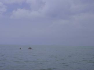 North Wales Sea Kayaking Courses - Specialist Sea Kayaking Anglesey, North Wales image from Sea Kayaking Introduction Wales Anglesey