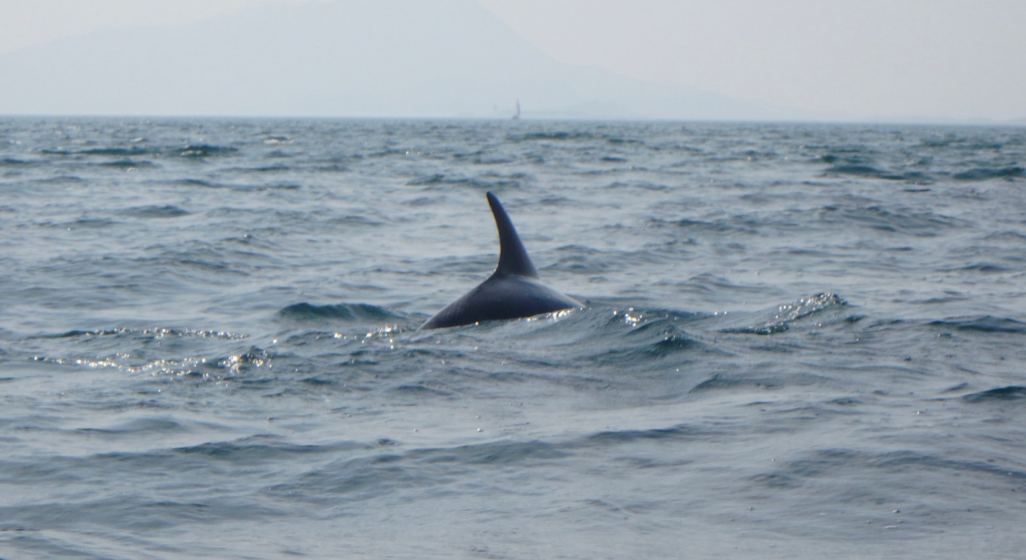 Image 2 from Sea Kayaking Wales & Anglesey | Sea Kayaking Specialist North Wales Since 2007 | Coastal Spirit